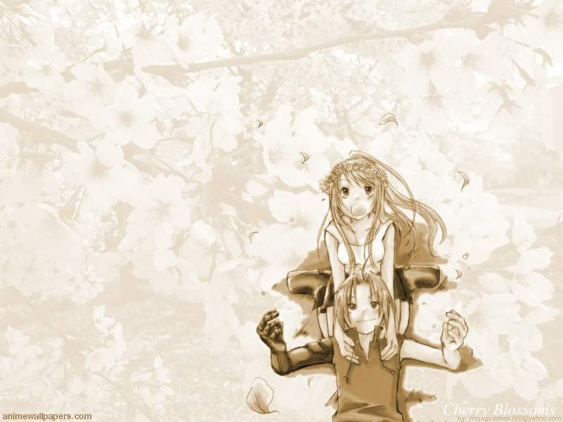 Otaku Gallery  / Anime e Manga / Full Metal Alchemist / Wallpapers / 208.jpg